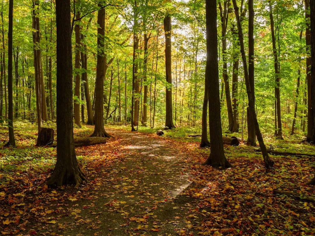 Vue de Saint-Bruno-de-Montarville, Montérégie